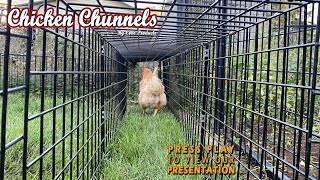 Chicken Chunnel Product Video3 [upl. by Anaj683]