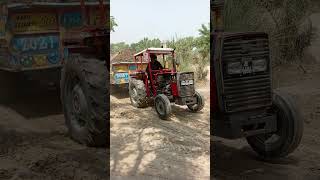 Mf 240 Mine TractoR Shurts Video 2024 HD [upl. by Yramesor]