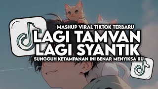 DJ LAGI TAMVAN X LAGI SYANTIK VIRAL TIKTOK FULL SONG MAMAN FVNDY 2024 [upl. by Esiole]