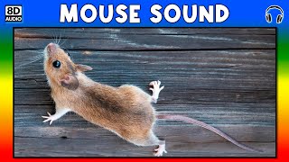 🐭 MOUSE SOUND  MOUSE SOUND EFFECT  SOUND OF MOUSE  NOISE OF MOUSE [upl. by Adlih]