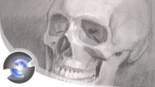 Drawing a Skull with Pencil [upl. by Atnohsal670]