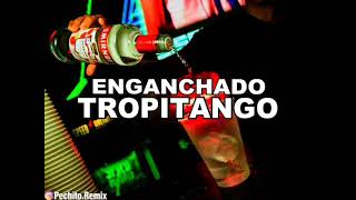 TROPITANGO 1 ✘ EXITOS 2023 ✘ ENGANCHADO ✘ REMIX FIESTERO ✘ PECHITO REMIX 🍹 [upl. by Ilwain]