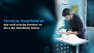 Técnicas hospitalares que você precisa dominar no dia a dia atendendo gatos [upl. by Adamsen]