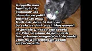 Les Colocs  BELZÉBUTH  parolesLyrics [upl. by Wolfson]