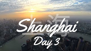 China Vlog  Day 3  Exploring shanghai 2024  Yu Garden  Shanghai Tower  Travel Vlog [upl. by Wrand]