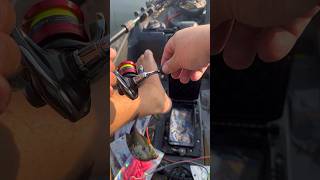 Fish flopping into my hatch fishinshorts fishing fishingcanada kayakbassfishing panfish pesca [upl. by Aneles501]