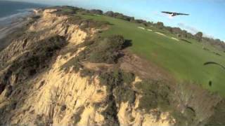 Shanti the Harris Hawk at Torrey Pinesm4v [upl. by Salocin]