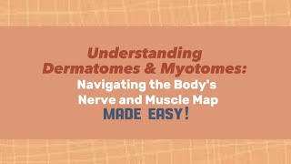 DERMATOMES and demonstration of MYOTOMESMADE EASY [upl. by Ellga]