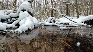 Winter Babbling Brook Sleep [upl. by Yila]