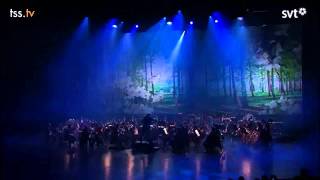 Te Deum  Opening Cerimony Eurovision Song Contest 2013 [upl. by Otrebmuh178]