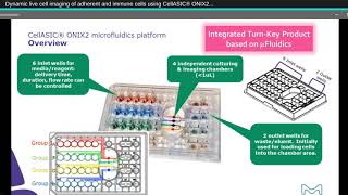 Dynamic live cell imaging of adherent and immune cells using CellASIC® ONIX2 microfluidic platform [upl. by Nollad142]