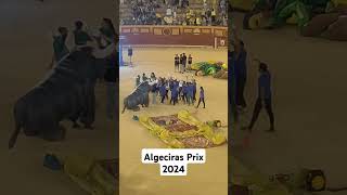 Algeciras Prix 2024 [upl. by Anol]