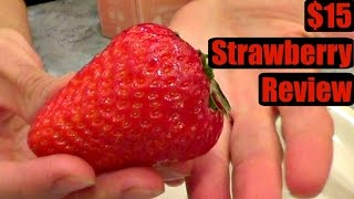 15 Japanese Strawberry  Weird Fruit Explorer Ep 169 [upl. by Enilraep338]