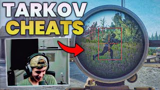 Tarkov Has A Serious Cheating Problem [upl. by Tallula]