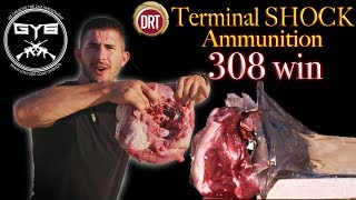 DRT 308 win TERMINAL SHOCK Ammo vs Pork Shoulder amp BRICK [upl. by Hazmah938]