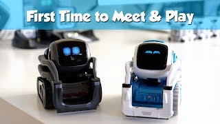 Cozmo Wakes up Vector First Time to Meet and Play [upl. by Ryder584]