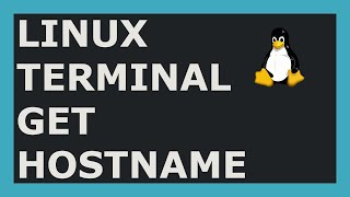 How To Get Hostname Using Linux Command Line [upl. by Darum529]