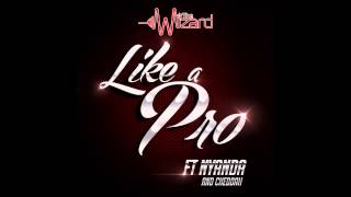 LIKE A PRO  The Wizard ft Nyanda amp Chedda [upl. by Chemaram]