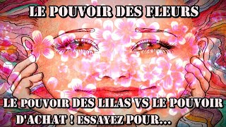 Laurent Voulzy  Le pouvoir des fleurs  Clip etRévélations [upl. by Hakeber]