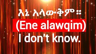 Amharic Phrases And Words For Beginners Easy Amharic LessonLearn Amharic With Nathaniel [upl. by Zeitler758]