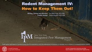 Rodent Management IV How to Keep Them Out [upl. by Cleland]