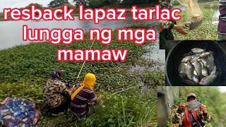 redback SA mga mamaw lapaz tarlac fishingadventure buhayprobinsya tilapia [upl. by Mellman]