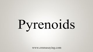 How To Say Pyrenoids [upl. by Cataldo]