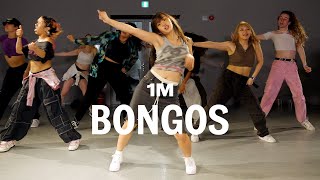 Cardi B  Bongos feat Megan Thee Stallion  Harimu Choreography [upl. by Hillman662]