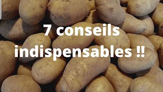 Comment cuisiner la pomme de terre Mes 7 conseils indispensables [upl. by Stuckey]