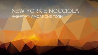 negramaro  New York e nocciola Audio ufficiale [upl. by Meredithe]