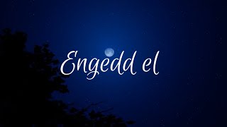 MECKS  ENGEDD EL OFFICIAL LYRIC VIDEO [upl. by Roderic]