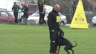 Ludek Silhavy  Krchleby  obedience 1742011 [upl. by Aerdnahs]