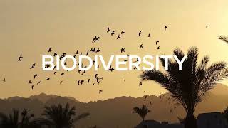 GE  STS Threats to Biodiversity and Mainstreaming Biodiversity [upl. by Ever218]