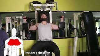 Pec deck chest flys [upl. by Frank]