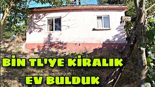 YAŞADIĞIMIZ KÖYDE BİN TLYE GENİŞ BAHÇELİ KİRALIK KÖY EVİ BULDUK  KÖYE GÖÇ [upl. by Anilegna]