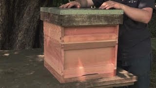 How to Make your Own Beehive [upl. by Tabbie]