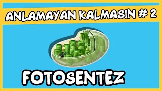 Anlamayan Kalmasın 2 Fotosentez [upl. by Handy]