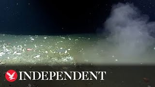 Leak in Pacific ocean that could unleash magnitude9 earthquake filmed in underwater footage [upl. by Sewel]