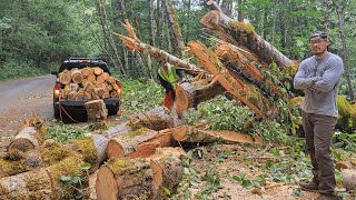 Roadside Firewood Haul After a Storm Forest Service Showed Up [upl. by Amieva490]