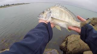 Catching Bream and Mullet Kurnell NSWpart 1 [upl. by Erinna]