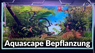 Aquarium Bepflanzung  90 P Aquascape Bepflanzung  nature style aquascape  emotion in aqua [upl. by Kursh901]