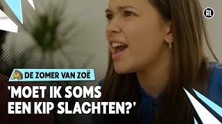 KON JE NIET OP EEN NORMALE PLEK WONEN  De zomer van Zoë  Seizoen 4 3  NPO Zapp [upl. by Cedric]