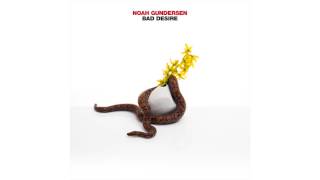 Noah Gundersen  Bad Desire Official Audio [upl. by Chenee]