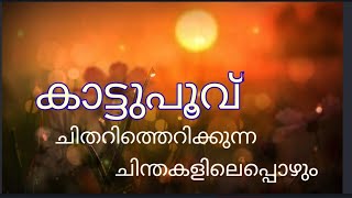 Kattu Thee  Lyric Video  Keedam  Rajisha Vijayan  Sidhartha Pradeep  Rahul Riji Nair [upl. by Damal175]