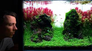 I MADE A NEW MOSS DRYSTART AQUASCAPE  Step by Step Tutorial [upl. by Gabel376]