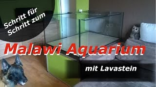 Malawi Aquarium mit Lavastein  Aufbaudoku [upl. by Nnilsia400]