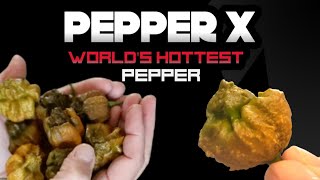 Pepper X Worlds Hottest Pepper [upl. by Eldin]