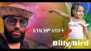 ባታዩት የሚቆጫችሁ ቦታ ለቤተሰብ የሚጠቅም Billy Bird Hemelrijk In Netherland [upl. by Anaitit]