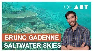 Bruno Gadenne  Saltwater Skies  OF ART [upl. by Girovard]