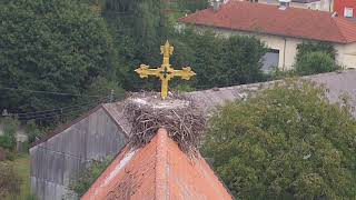 Storchennest Kirche Haag i OB [upl. by Boccaj]